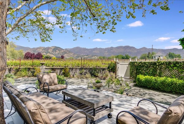 Vineyard at Chateau de Vie